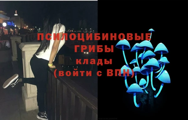 шишки Беломорск