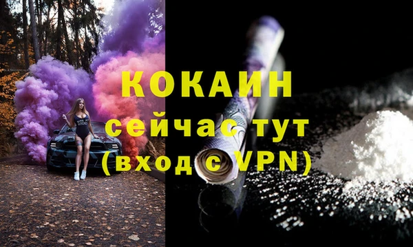 шишки Беломорск