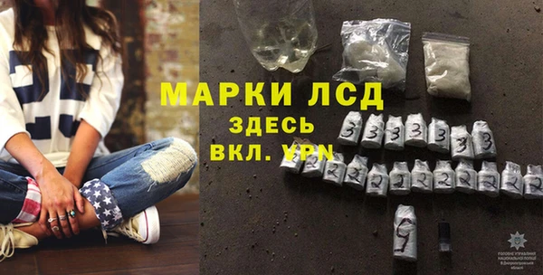 хмурый Белокуриха