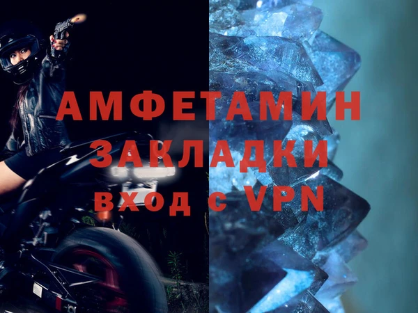 хмурый Белокуриха