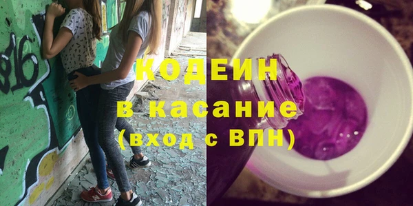 хмурый Белокуриха