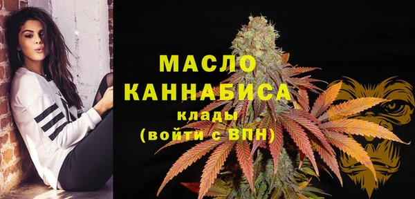 хмурый Белокуриха