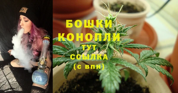 шишки Беломорск