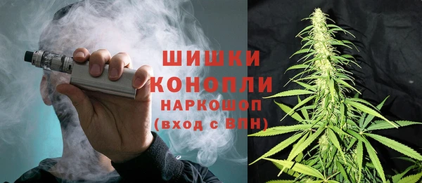 шишки Беломорск
