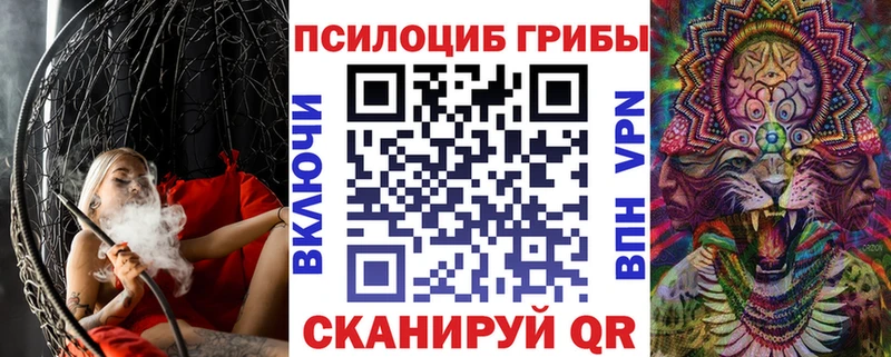 Псилоцибиновые грибы Psilocybine cubensis  Кострома 